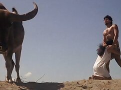 Asya amatör türk gizli çekim yağı